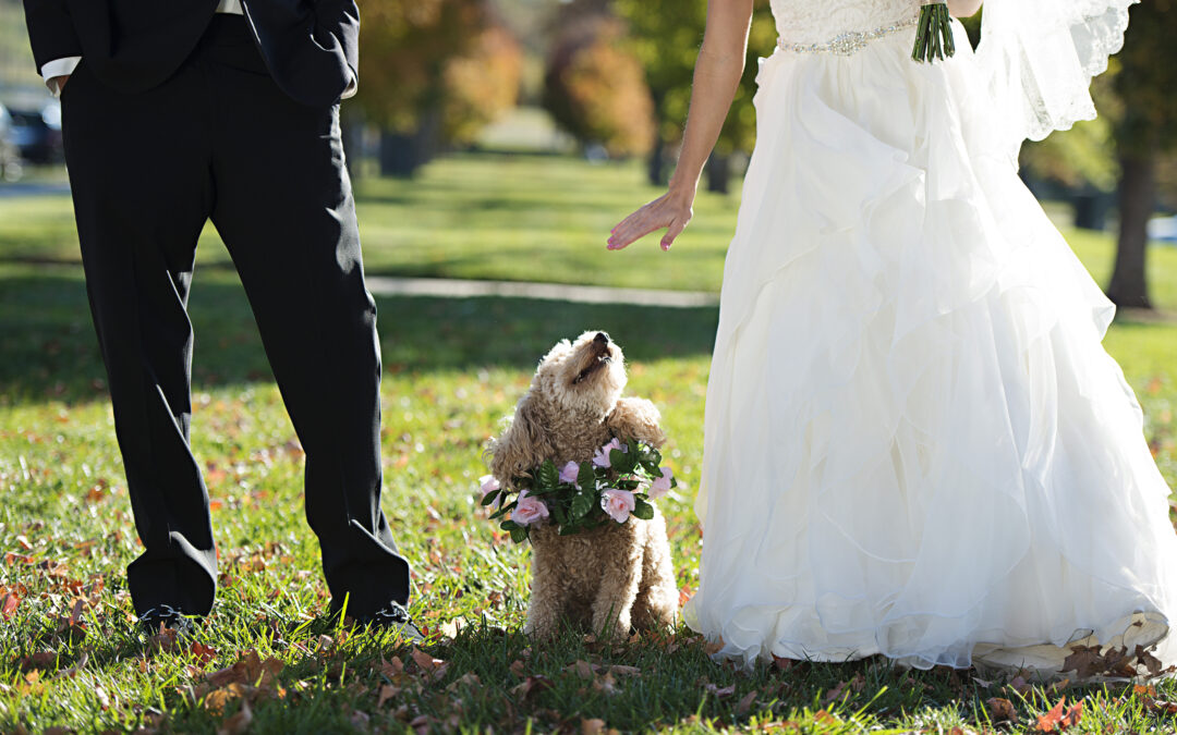 natalie+rob466