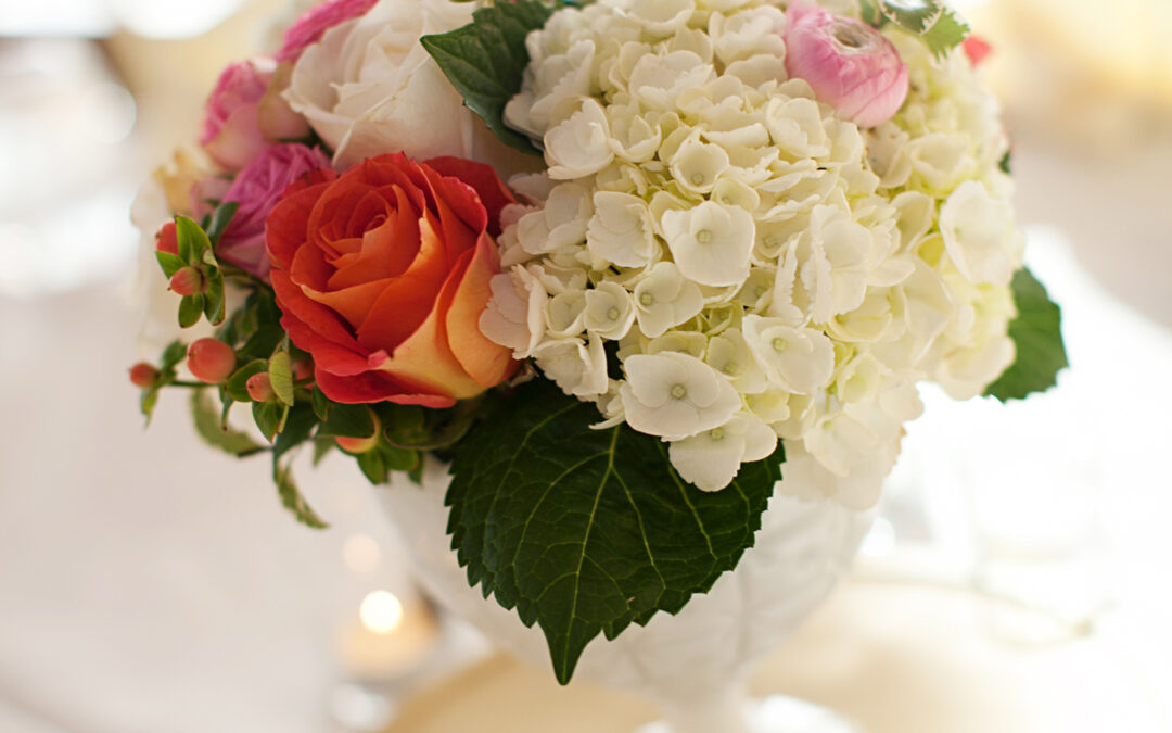 Kimberly + Andy – Tracy Routh Photo